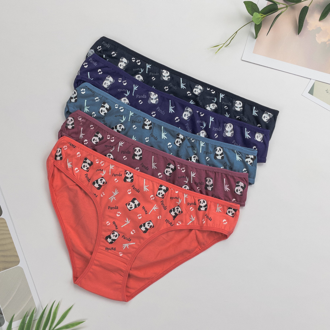 Труси слипи жіночих Nicoleta Туреччина L | 5 шт.