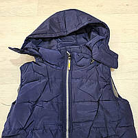 Безрукавки для хлопчика оптом, Taurus, 8-16 років, арт. DL-28, фото 3