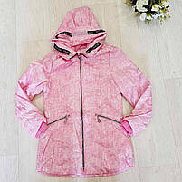 Куртка для дівчаток оптом, S&D, 4-12 років, арт. KF73, фото 2