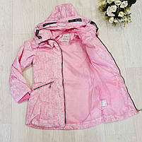 Куртка для дівчаток оптом, S&D, 4-12 років, арт. KF73, фото 3