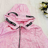 Куртка для дівчаток оптом, S&D, 4-12 років, арт. KF73, фото 4