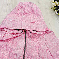 Куртка для дівчаток оптом, S&D, 4-12 років, арт. KF73, фото 5