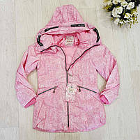 Куртка для дівчаток оптом, S&D, 4-12 років, арт. KF73, фото 6