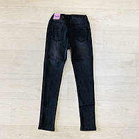 Джеггінси для дівчаток оптом, Taurus, 134-164 рр., Арт. T 41, фото 6