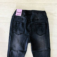 Джеггінси для дівчаток оптом, Taurus, 134-164 рр., Арт. T 41, фото 7