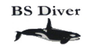 Bs diver