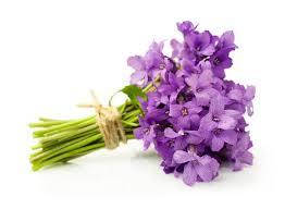 Ароматизатор Фіалка харчовий рідкий водорозчинний ідентичний натуральному