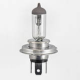Галогенна лампа Solar H4 Rally +30% 12 V 1214 AVK, фото 2