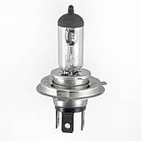 Галогенна лампа Solar H4 StarLight +30% 12V 124 AVK, фото 2