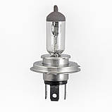 Галогенна лампа Solar H4 StarLight +30% 24 V 2404 AVK, фото 2