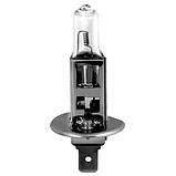Галогенова лампа BREVIA H1 POWER DUTY 24010PDC AVK, фото 2