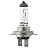 Галогенова лампа BREVIA H7 POWER DUTY 24070PDC AVK, фото 2