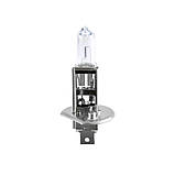 Галогенова лампа Solar H1 12 V 55 W P14,5s Starlight +30% (1201B1) AVK, фото 2