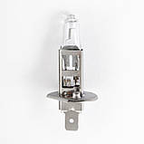 Галогенова лампа Solar H1 StarLight +30% 12 V 1201 AVK, фото 2