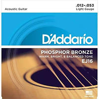 Струни для акустичної гітари D'Addario EJ16 Phosphor Bronze Light Acoustic Guitar Strings 12/53