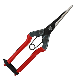 omyasaiページ Мурмулятор