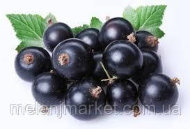 Ароматизатор Чорна смородина (свіжа) харчовий рідкий водорозчинний ідентичний натуральному, фото 1