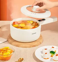 Електрична каструля для приготування їжі, Швидковарка з терморегулятором.