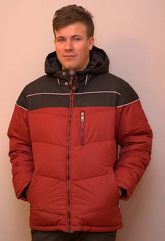 Куртка чоловіча зимова на тинсулейте BRAGGART, фото 2