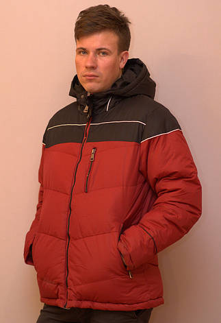 Куртка чоловіча зимова на тинсулейте BRAGGART, фото 2