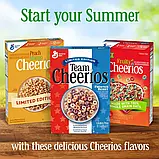 Сухий сніданок Fruity Cheerios Family Size 520г, фото 10