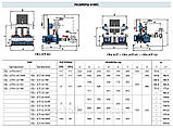 Станція підтримки тиску COMBIPRESS CB-2 2CPm 25/16B PEDROLLO, фото 2