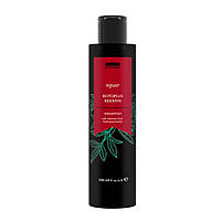 Шампунь відновлюючий Invidia Botoplus Keratin Shampoo для пошкодженого волосся з кератином (EIN2042) 200 мл