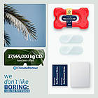 Захисне скло на камеру Caseology 2 Packs для Google Pixel 9 Pro, фото 2