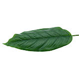 Штучне листя Engard Spathiphyllum 65 см (DW-33), фото 5