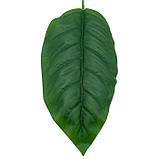 Штучне листя Engard Spathiphyllum 65 см (DW-33), фото 4