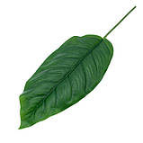 Штучне листя Engard Spathiphyllum 65 см (DW-33), фото 3