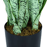 Штучна рослина Engard Sansevieria, 65 см (DW-11), фото 4