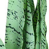 Штучна рослина Engard Sansevieria, 65 см (DW-11), фото 6