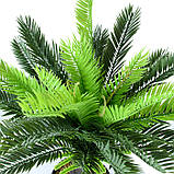 Штучна рослина Engard Cycas Palm, 60 см (DW-24), фото 3