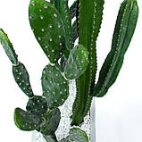 Набір штучних рослин Engard Cactus в кашпо (TW-40414268-1), фото 7