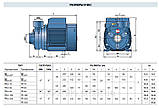 Вихровий насос Pedrollo PKm-90, фото 5