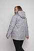 Куртка жіноча осінь-весна великих розмірів 52-68 сірий, фото 4
