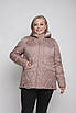 Куртка жіноча осінь-весна великих розмірів 52-68 сірий, фото 7