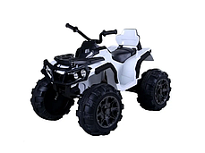 Квадроцикл Ramiz Quad ATV, фото 3