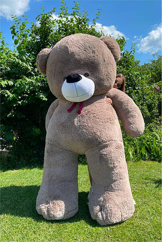 Мишка на день рождения 3 метра, Огромный медведь игрушка Ветли 300 см ...