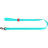 Повідець WAUDOG Waterproof МЕНТОЛОВИЙ світлонакоплювальний L-XXL 25мм/122см 2730, фото 4