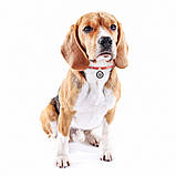 Шнурок для адресника WAUDOG Smart ID червоний, світловідбивний S 4мм/25-45см 60383, фото 2