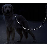 Світловідбивний повідець для собак з контейнером для гігієнічних пакетів 3м Purlov 21654 Польща, фото 4