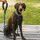 Світловідбивний повідець для собак з контейнером для гігієнічних пакетів 3м Purlov 21654 Польща, фото 5