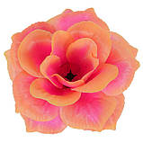 Троянда велика атлас, 15см, фото 4