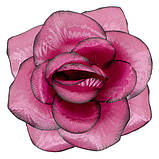 Троянда велика атлас, 15см, фото 8