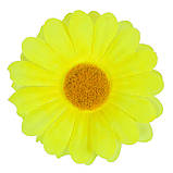 Гербера Тетянка, 9см, фото 2