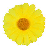 Гербера Тетянка, 9см, фото 5