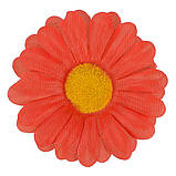 Гербера Тетянка, 9см, фото 7
