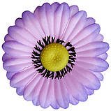 Гербера х/б з віями, 10 см, фото 5